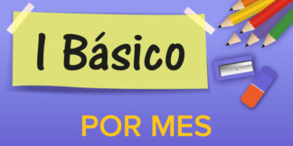 Primero Básico—Por Mes