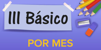 Tercero Básico—Por Mes